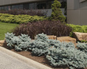 Gallery50